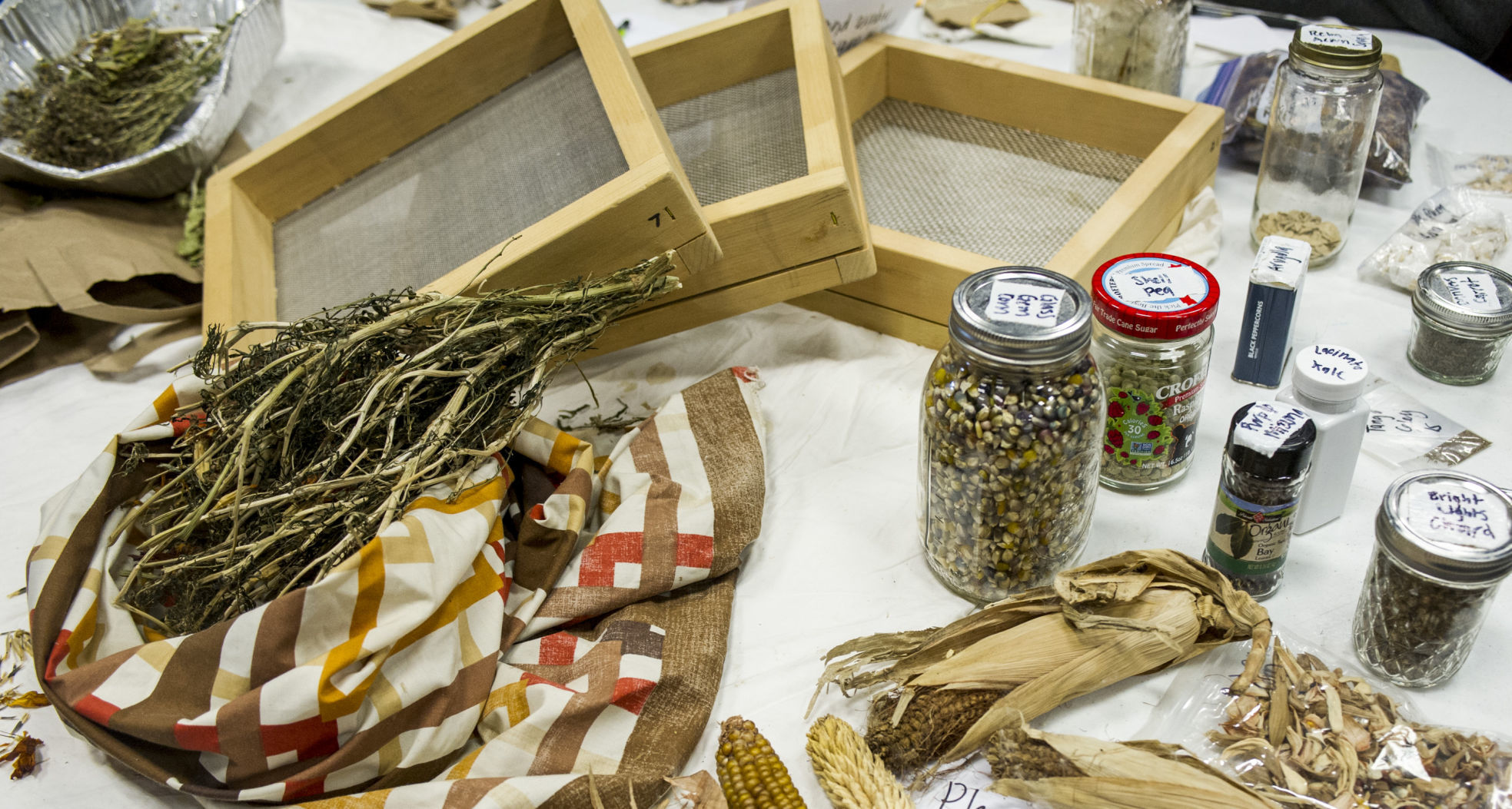 Seed Swap